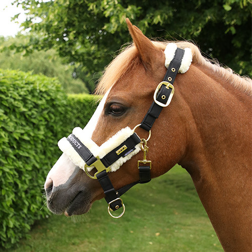 head collar