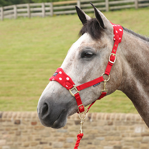 Supreme Products Dotty Fleece Head Collar & Lead Rope - Rosette Red - Small Pony