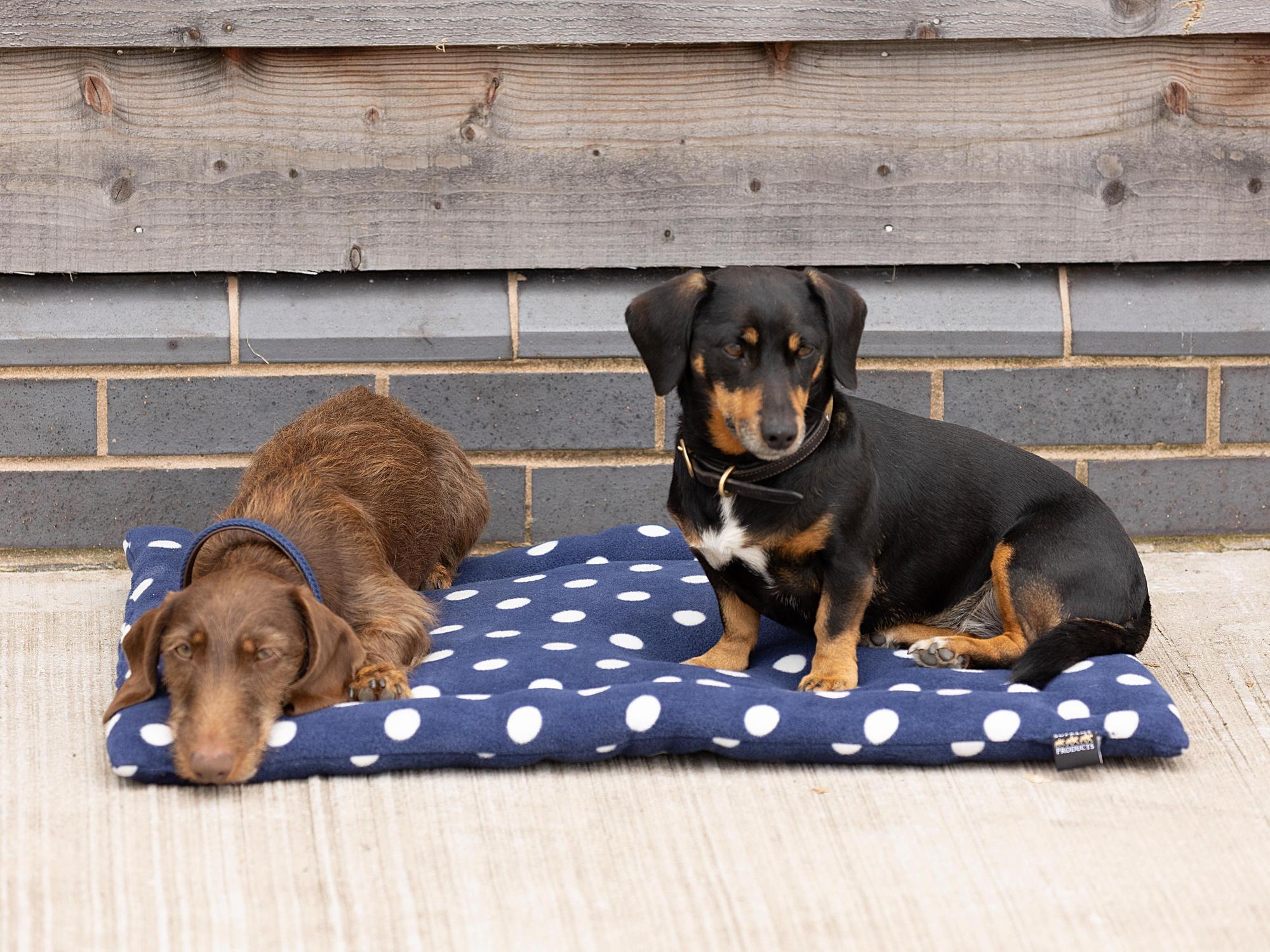 Dog Beds