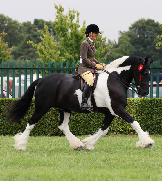 sponsored rider